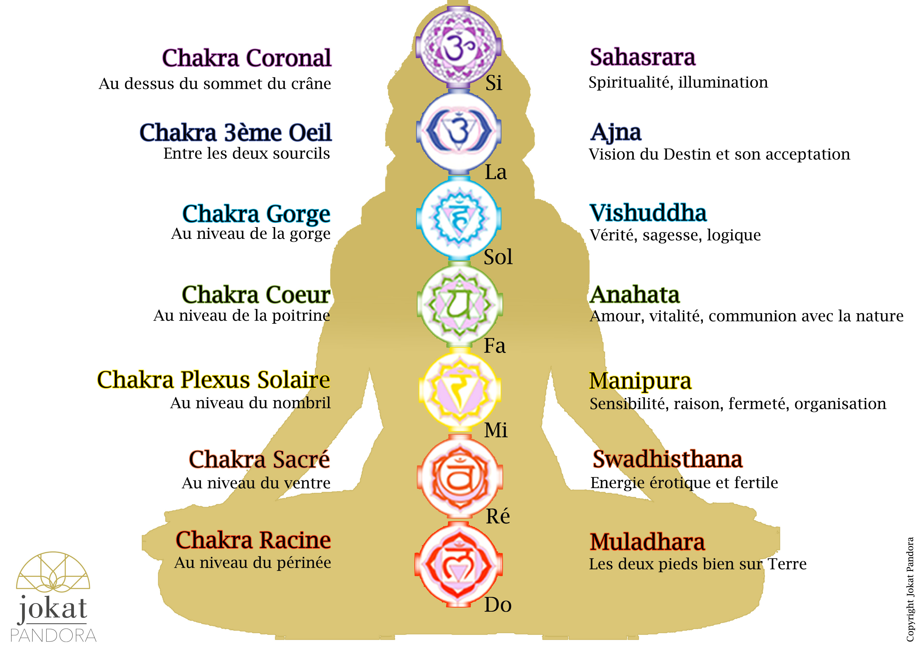 Correspondance des 7 Chakras avec les 7 notes de musique